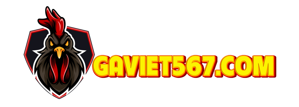 GaViet567.Com – Nhà Cái Casino Uy Tín | Thể Thao | Xổ Số | Đá Gà Trực Tiếp Số 1 Châu Á